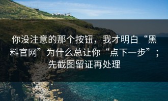 你没注意的那个按钮，我才明白“黑料官网”为什么总让你“点下一步”；先截图留证再处理