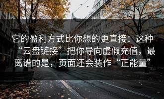 它的盈利方式比你想的更直接：这种“云盘链接”把你导向虚假充值，最离谱的是，页面还会装作“正能量”