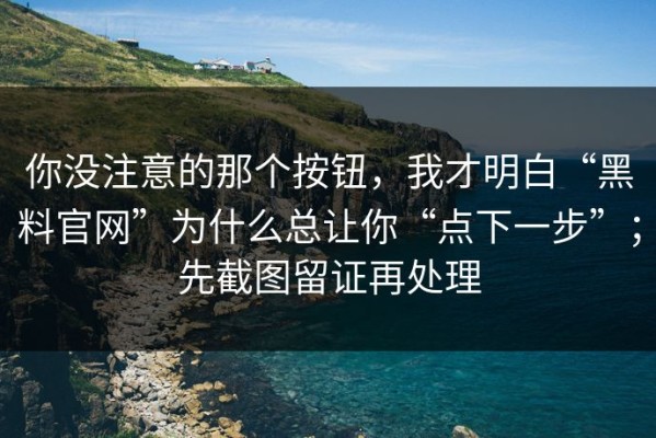 你没注意的那个按钮，我才明白“黑料官网”为什么总让你“点下一步”；先截图留证再处理