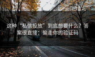 这种“私信投放”到底想要什么？答案很直接：偷走你的验证码
