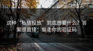 这种“私信投放”到底想要什么？答案很直接：偷走你的验证码