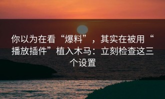 你以为在看“爆料”，其实在被用“播放插件”植入木马：立刻检查这三个设置