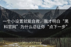 一个小设置就能自救，我才明白“黑料官网”为什么总让你“点下一步”
