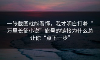 一张截图就能看懂，我才明白打着“万里长征小说”旗号的链接为什么总让你“点下一步”
