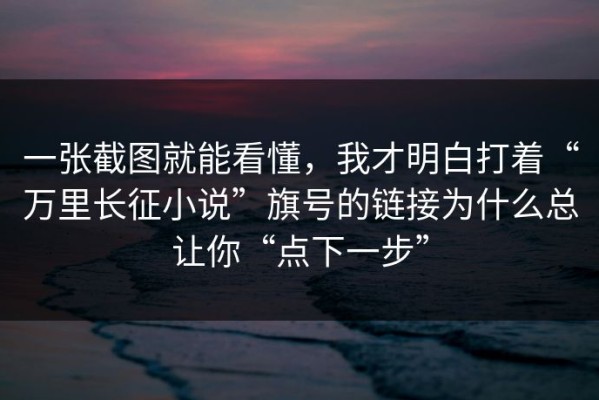 一张截图就能看懂，我才明白打着“万里长征小说”旗号的链接为什么总让你“点下一步”