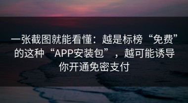 一张截图就能看懂：越是标榜“免费”的这种“APP安装包”，越可能诱导你开通免密支付