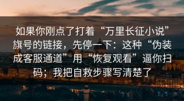 如果你刚点了打着“万里长征小说”旗号的链接，先停一下：这种“伪装成客服通道”用“恢复观看”逼你扫码；我把自救步骤写清楚了
