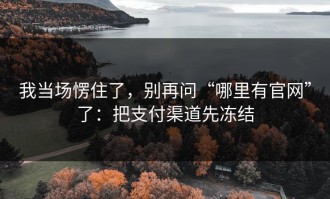 我当场愣住了，别再问“哪里有官网”了：把支付渠道先冻结