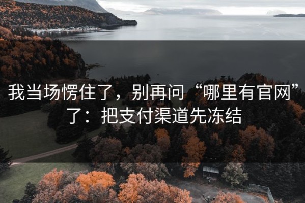 我当场愣住了，别再问“哪里有官网”了：把支付渠道先冻结