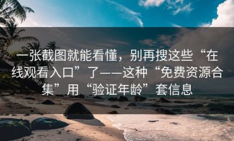 一张截图就能看懂，别再搜这些“在线观看入口”了——这种“免费资源合集”用“验证年龄”套信息