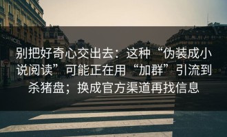 别把好奇心交出去：这种“伪装成小说阅读”可能正在用“加群”引流到杀猪盘；换成官方渠道再找信息