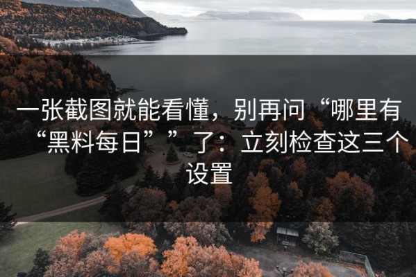 一张截图就能看懂，别再问“哪里有“黑料每日””了：立刻检查这三个设置