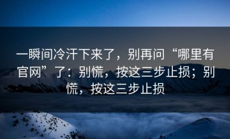 一瞬间冷汗下来了，别再问“哪里有官网”了：别慌，按这三步止损；别慌，按这三步止损