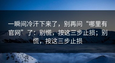 一瞬间冷汗下来了，别再问“哪里有官网”了：别慌，按这三步止损；别慌，按这三步止损