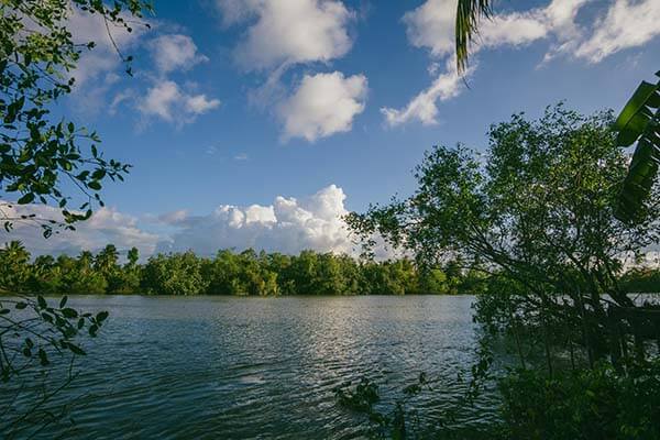 如果你刚点了那种“爆料链接”，先停一下：这种“备用网址页面”用“解锁内容”骗转账；我把自救步骤写清楚了