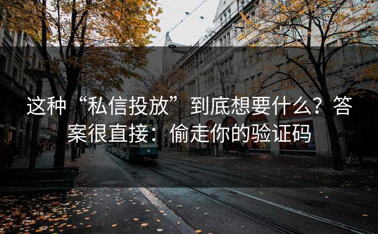这种“私信投放”到底想要什么?答案很直接:偷走你的验证码 这种“私信投放”到底想要什么?答案很直接:偷走你的验证码