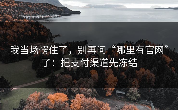 我当场愣住了，别再问“哪里有官网”了：把支付渠道先冻结
