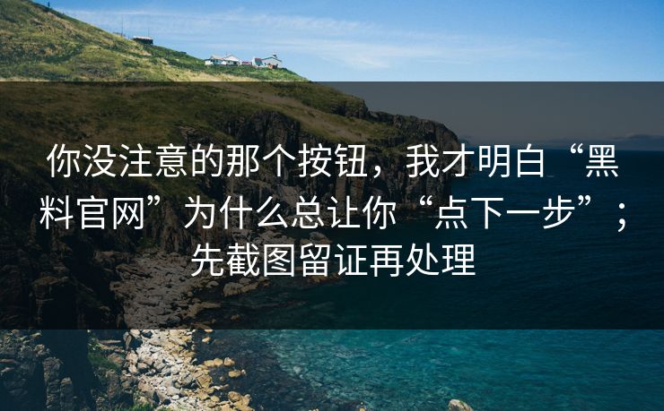 你没注意的那个按钮，我才明白“黑料官网”为什么总让你“点下一步”；先截图留证再处理